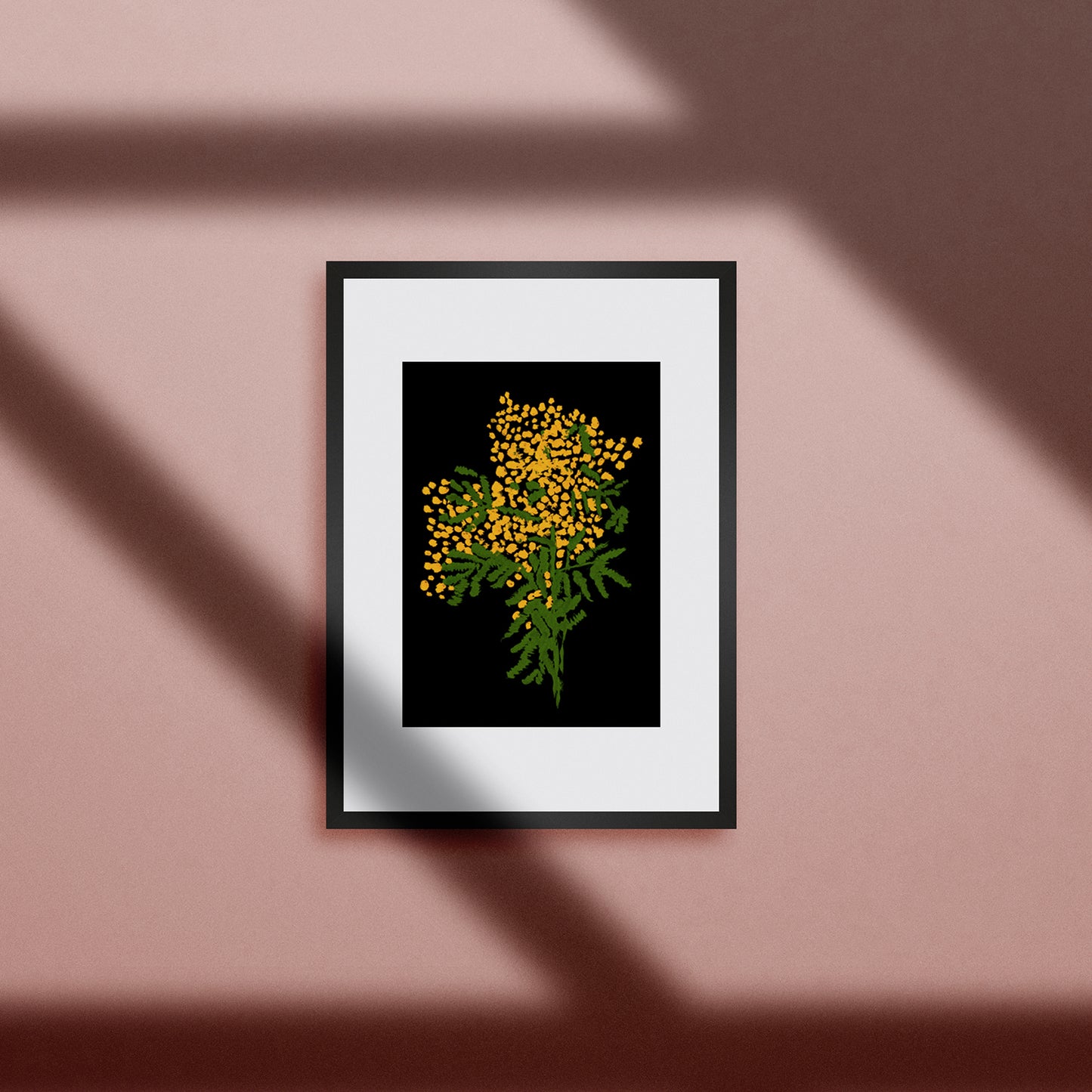 Mimosa Painted Graphic. A3 Artwork