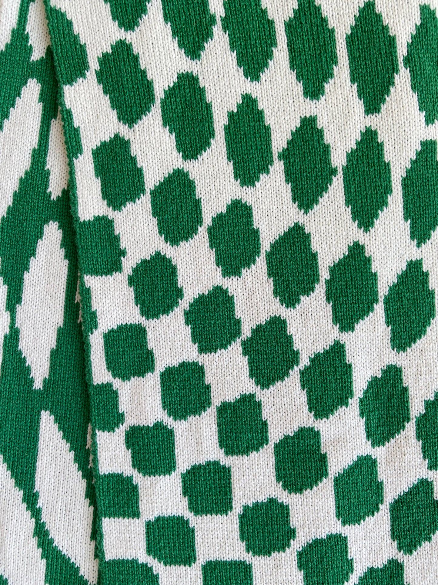 Checkered Wool and Cashmere Scarf in Jade Green